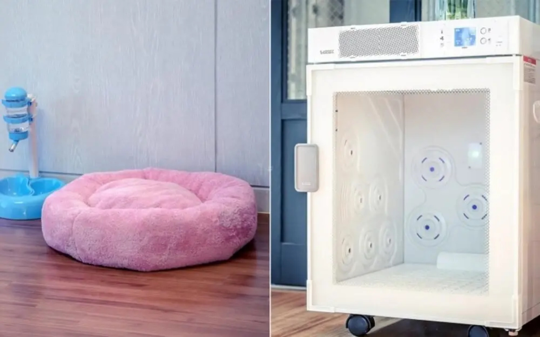 Pohang Unipool Villa