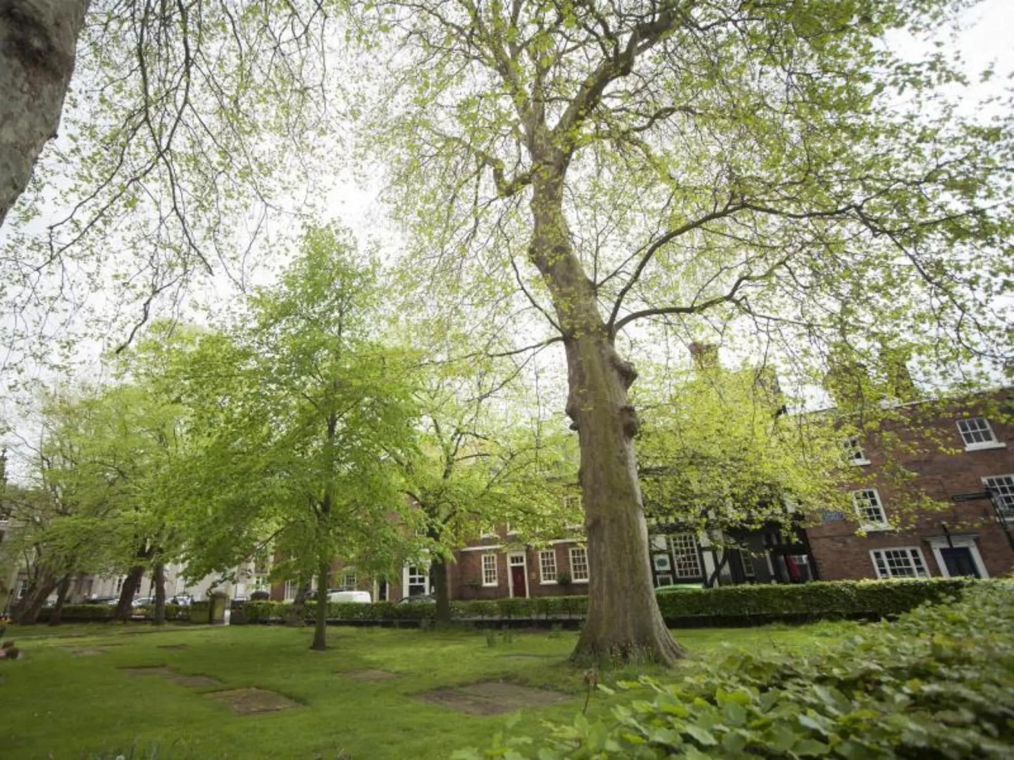 The Lion Hotel Shrewsbury