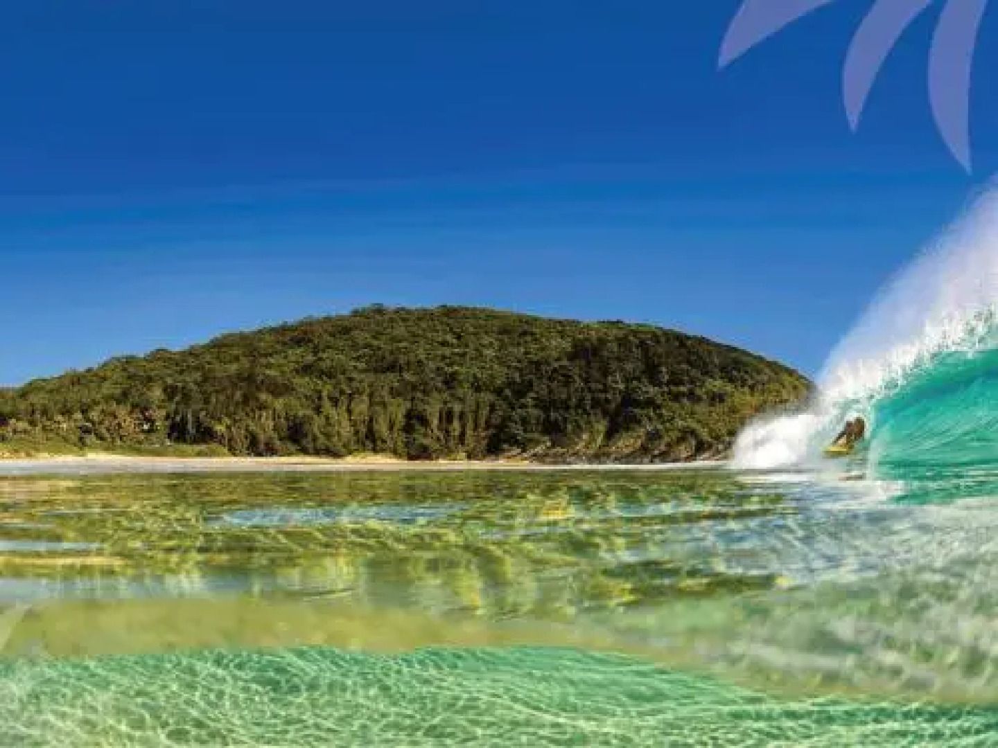 Picture perfect Lizzie Palms 2