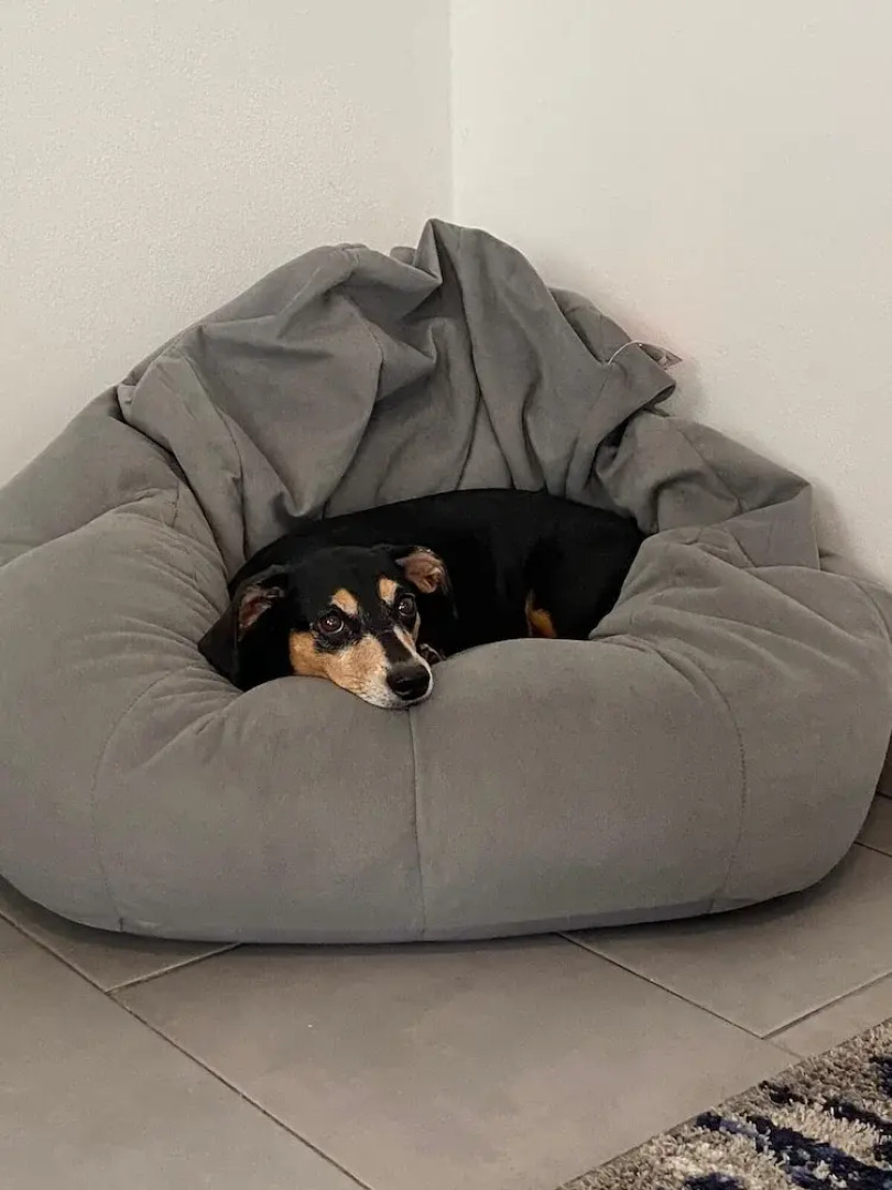 Sea Breeze Tunnel Hideaway 3