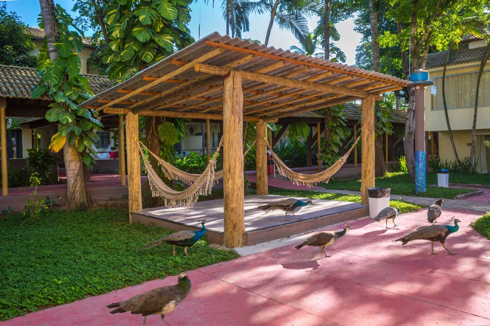 Отель Floral Inn Family