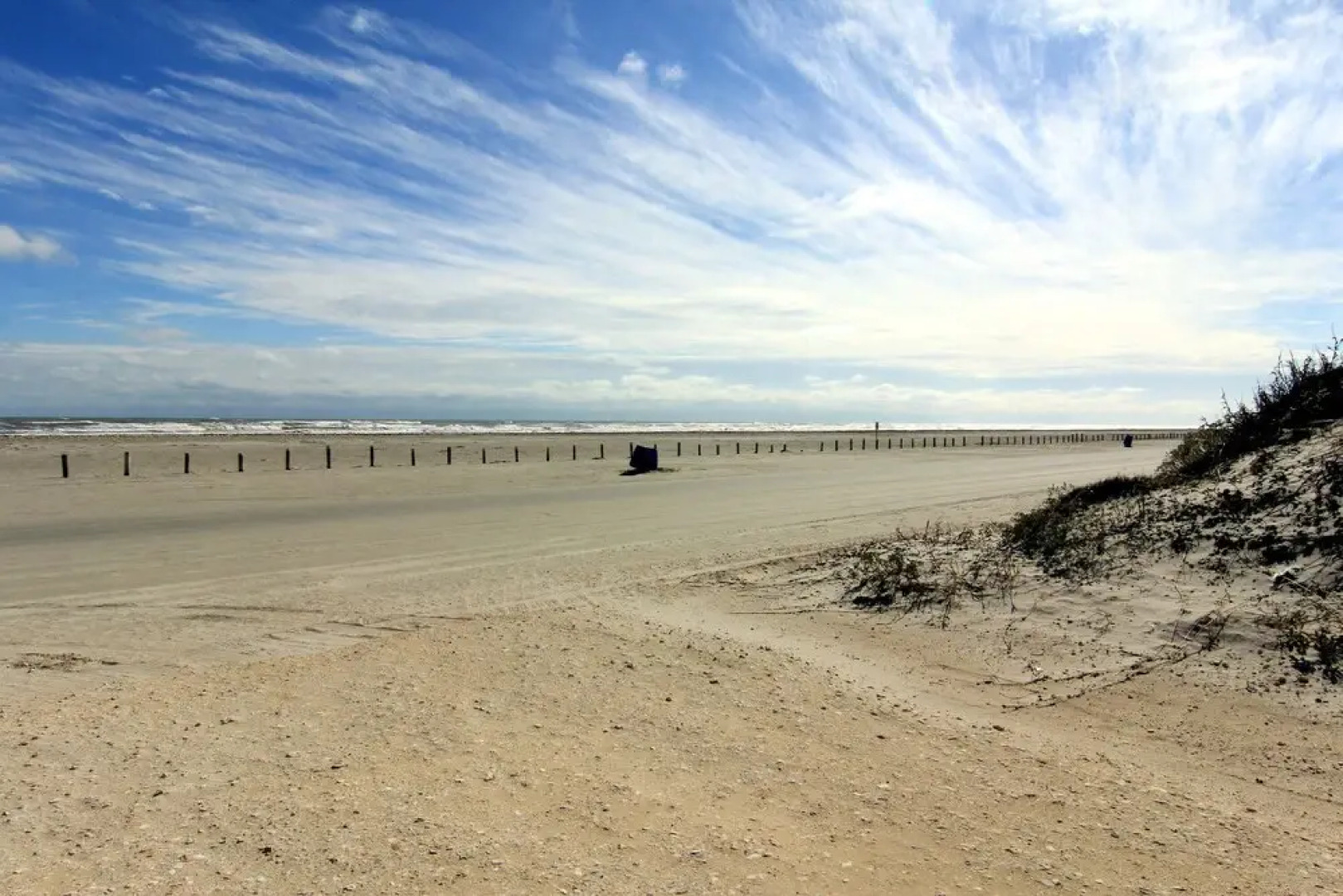 Barefoot Dreams 616 SCD