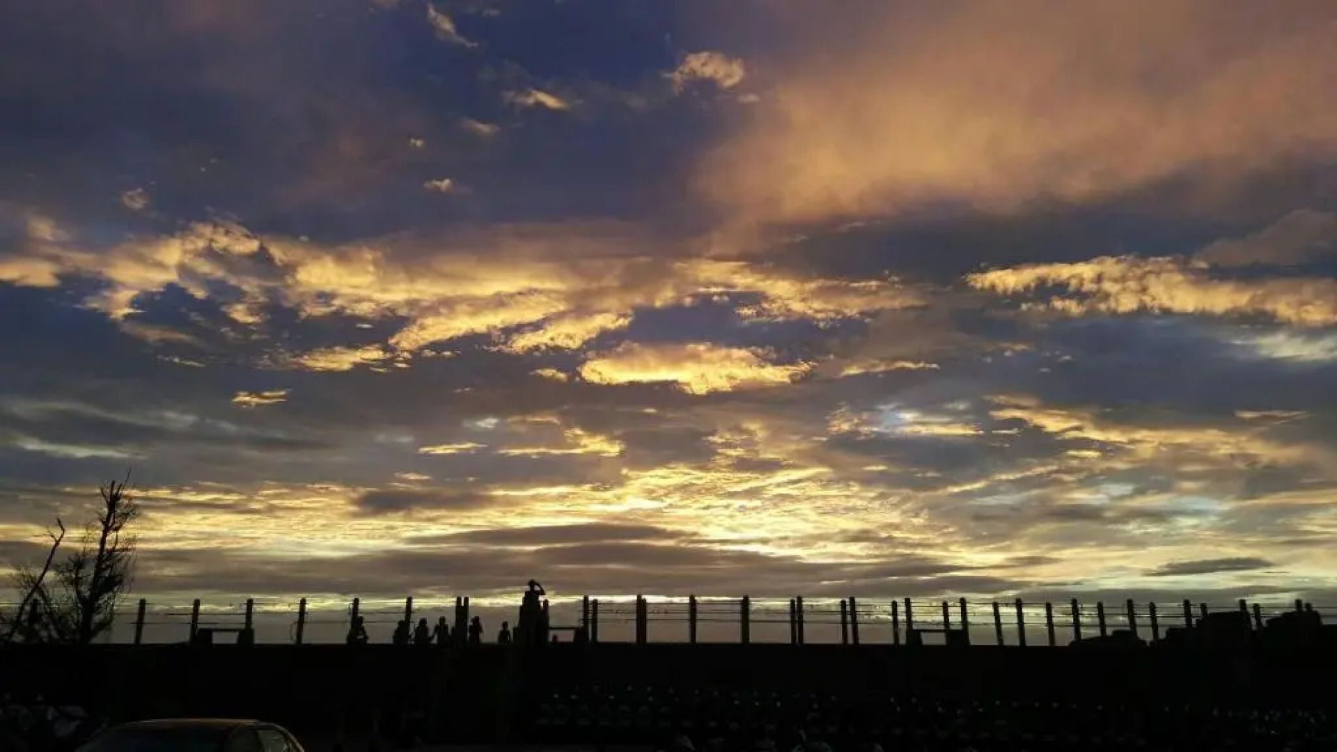 Green Island Dolphin House