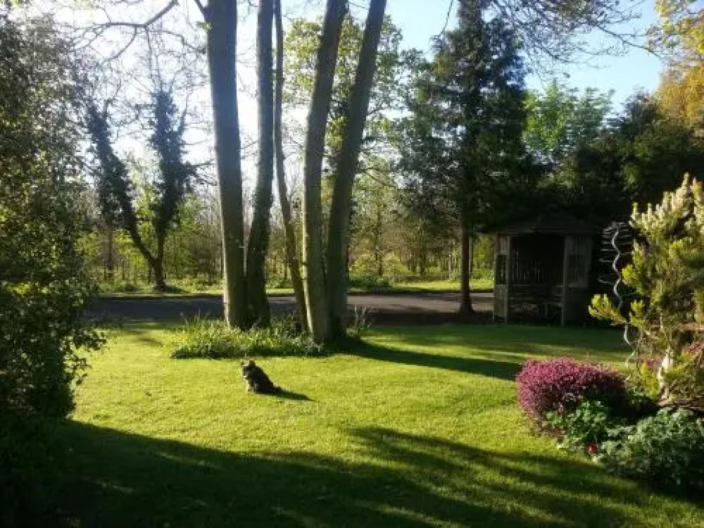 Folly Studio Bed & Breakfast