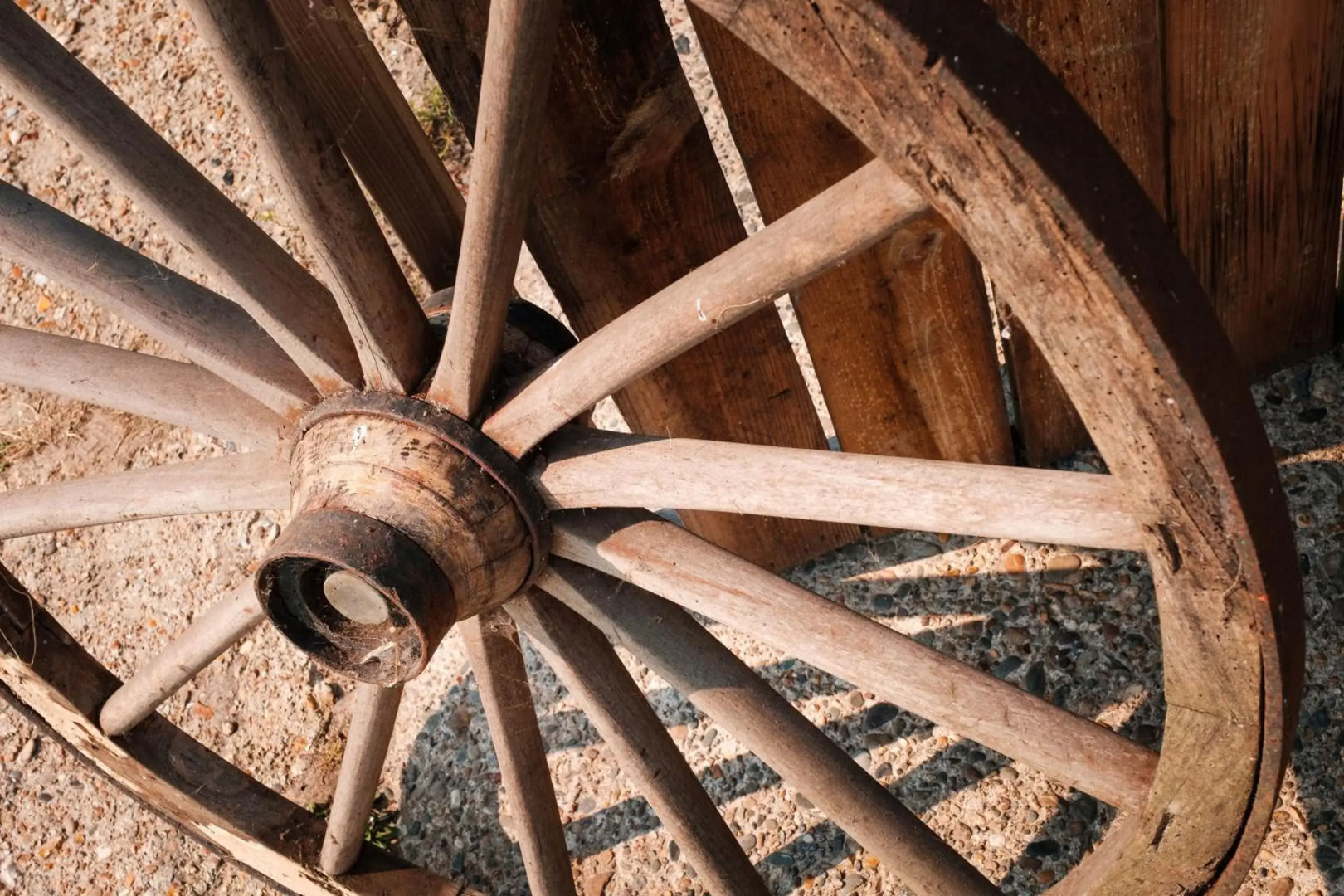 Bed&Bbq Longhornranch