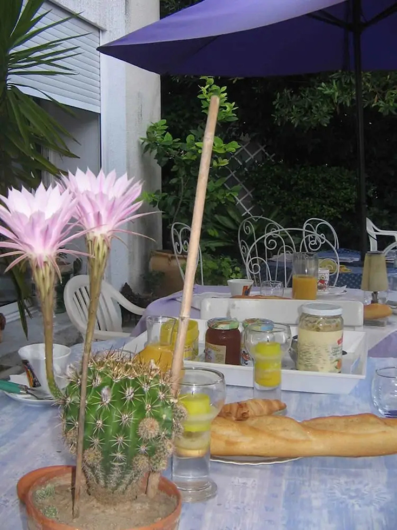 Chambres d'hotes Beziers