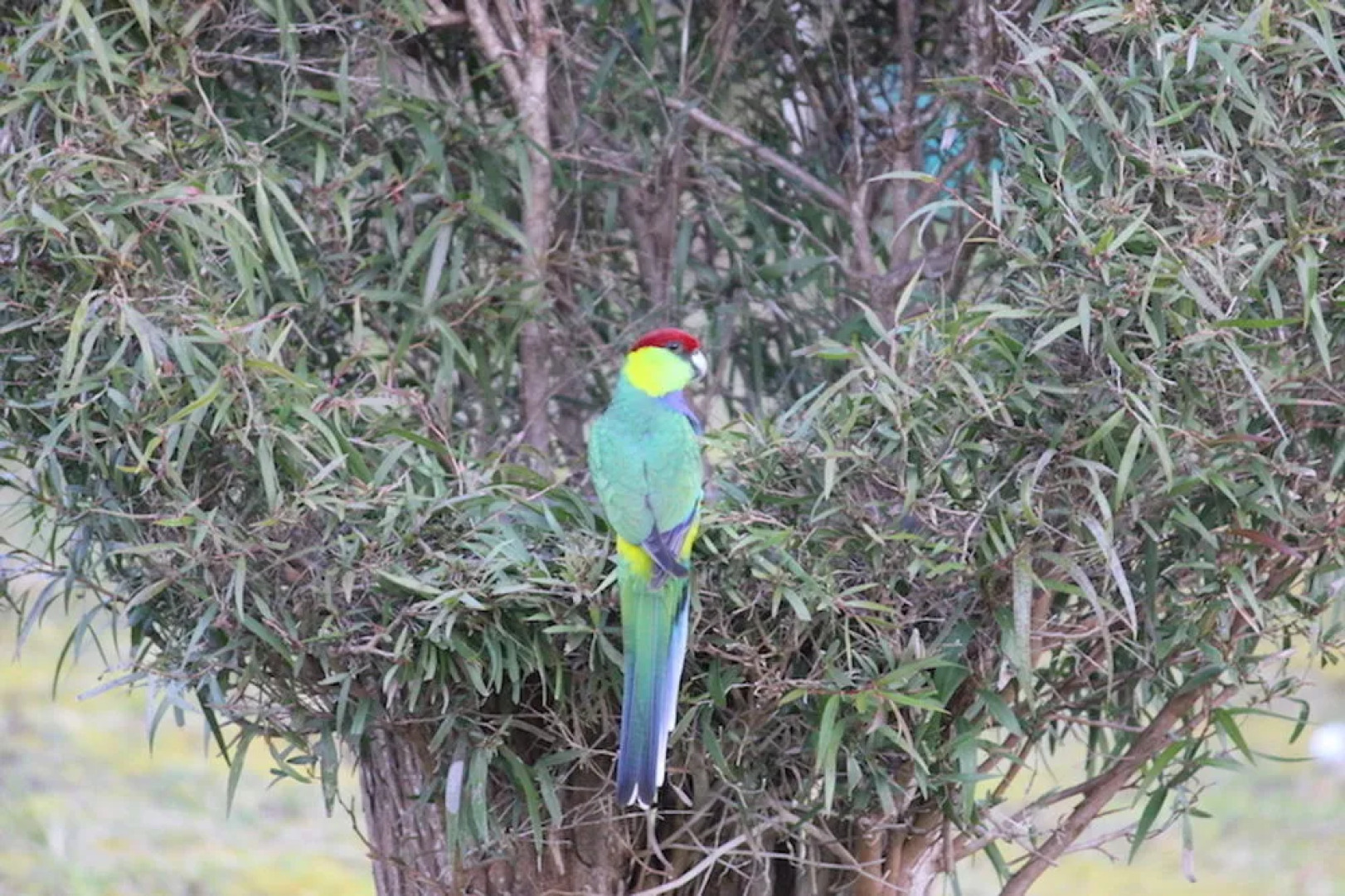 Albany's Big Grove Bed & Breakfast