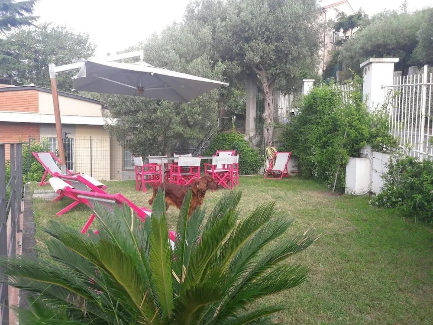 Joy Bed and Breakfast