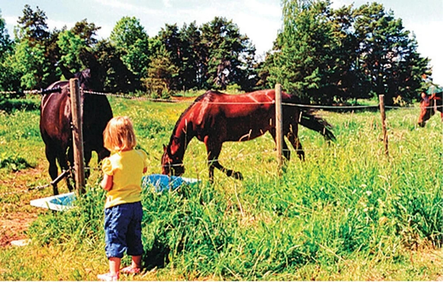 Amazing Home in Eskilstuna With 1 Bedrooms, Sauna and Wifi