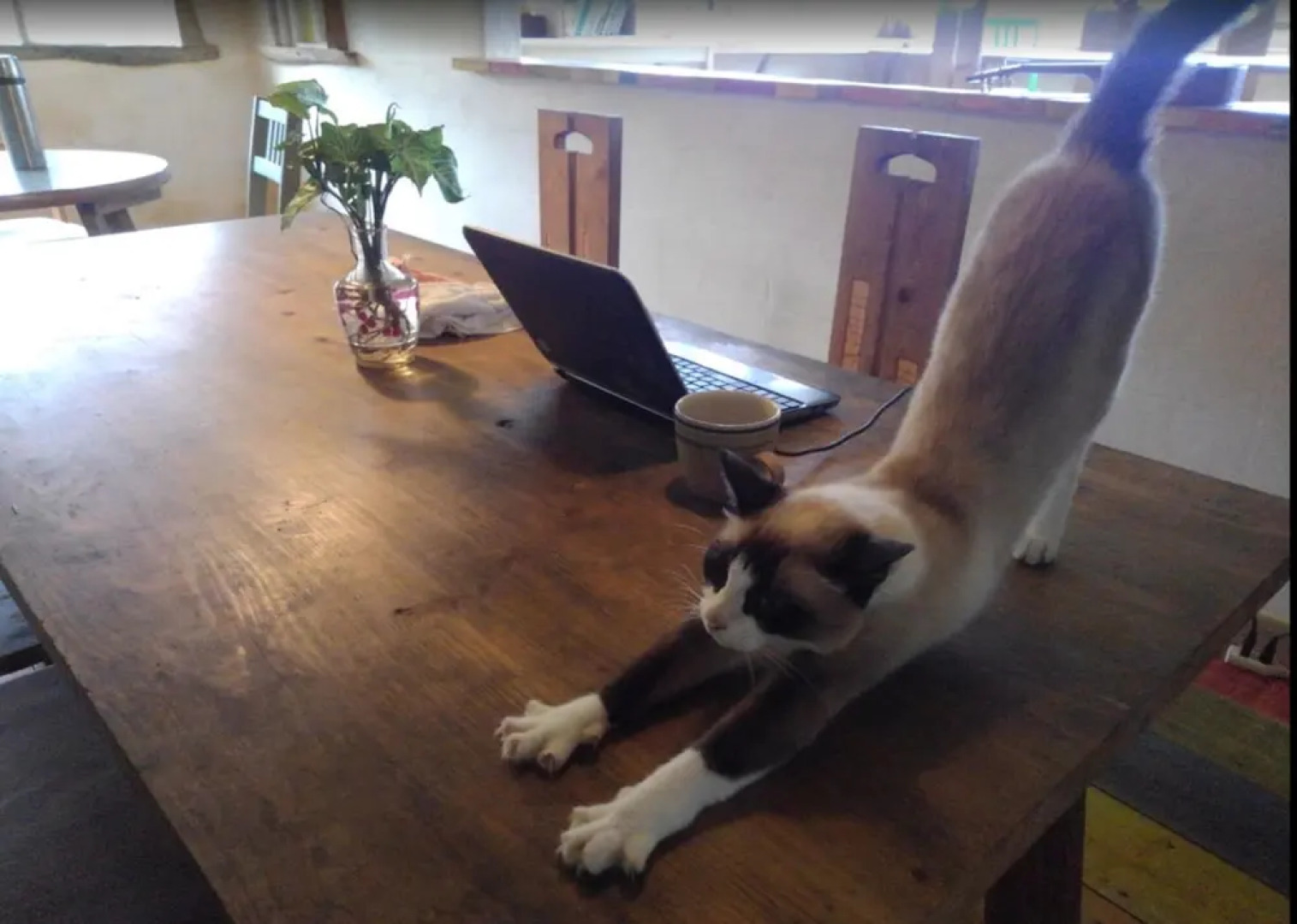 Tabinoyado Asahi House