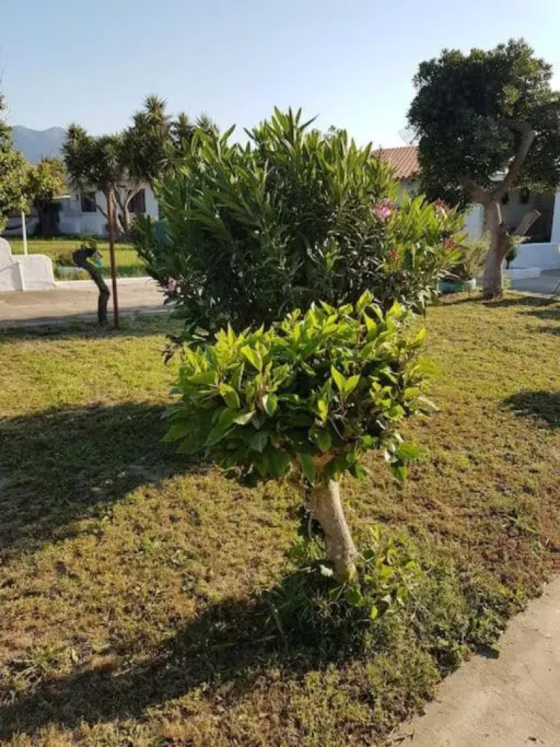 Apartement Kos CountryHouses