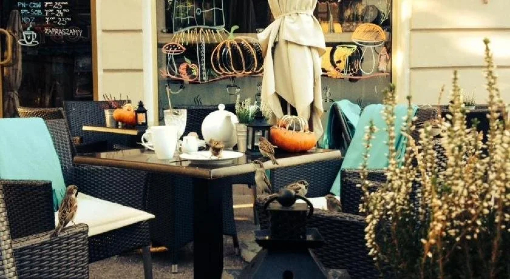 Monte Cassino De Luxe