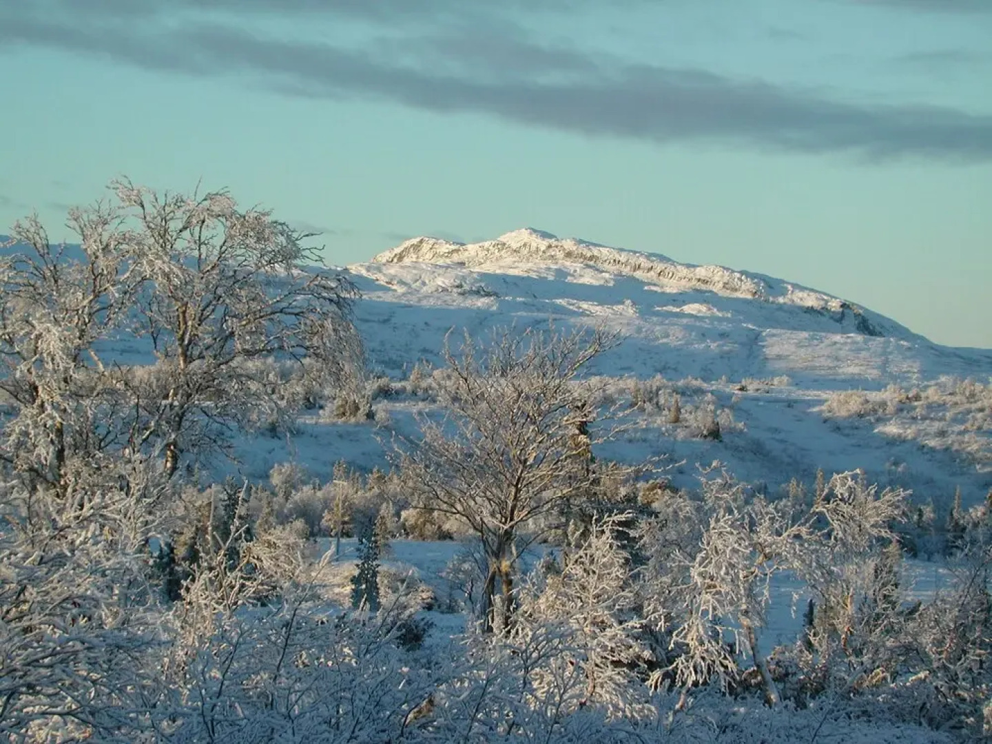Storliens Högfjällshotell