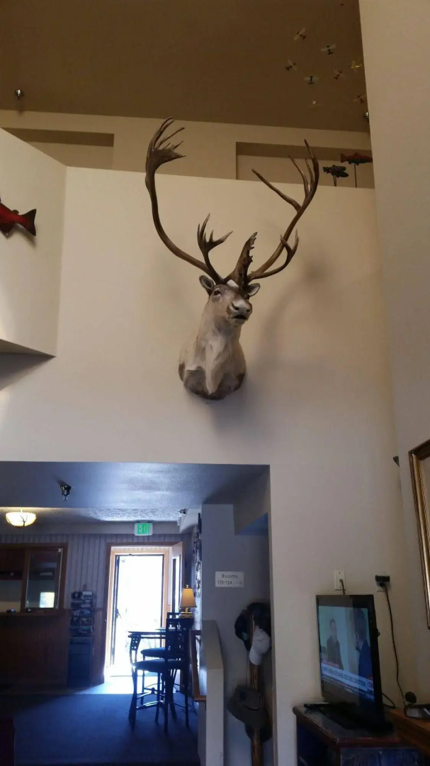 Lakeshore Inn & Suites