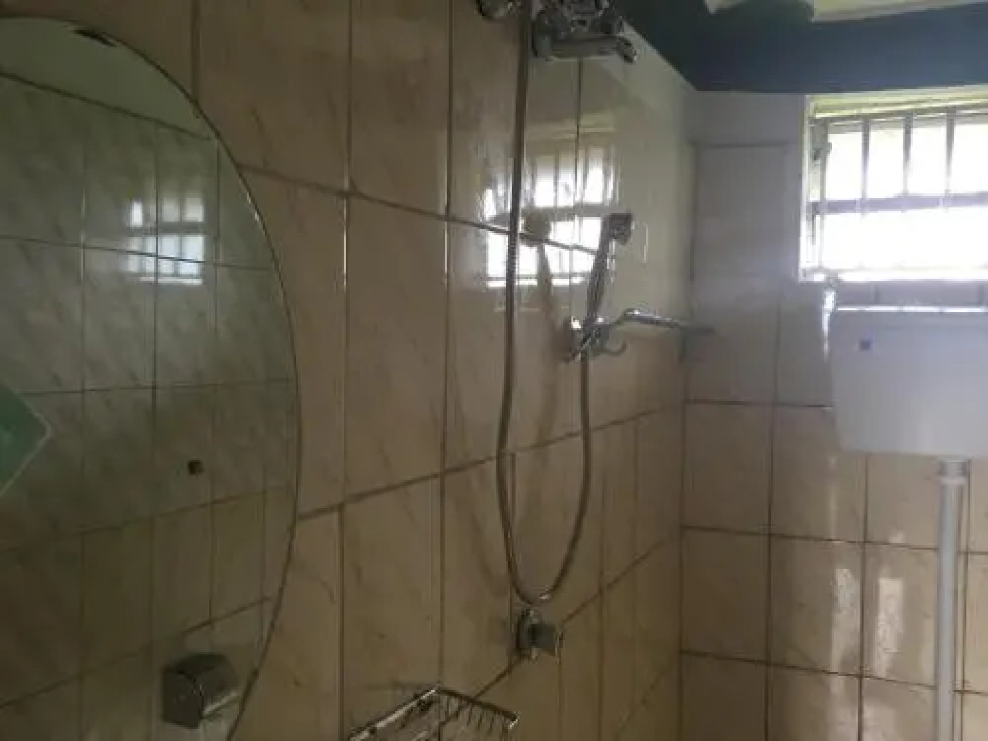 Ecomarvels Gorilla Resort