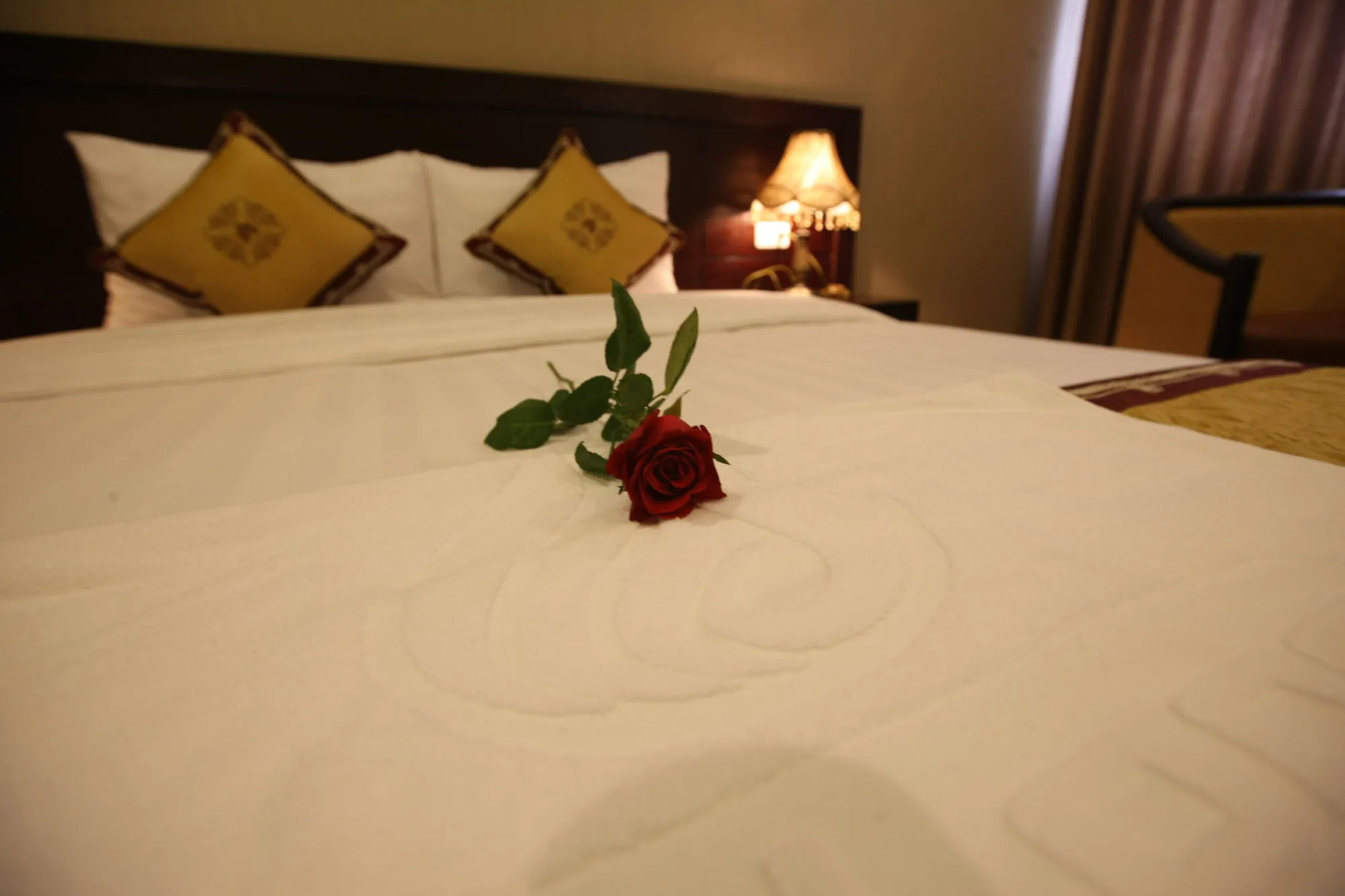 Lac Long Hotel Hai Phong