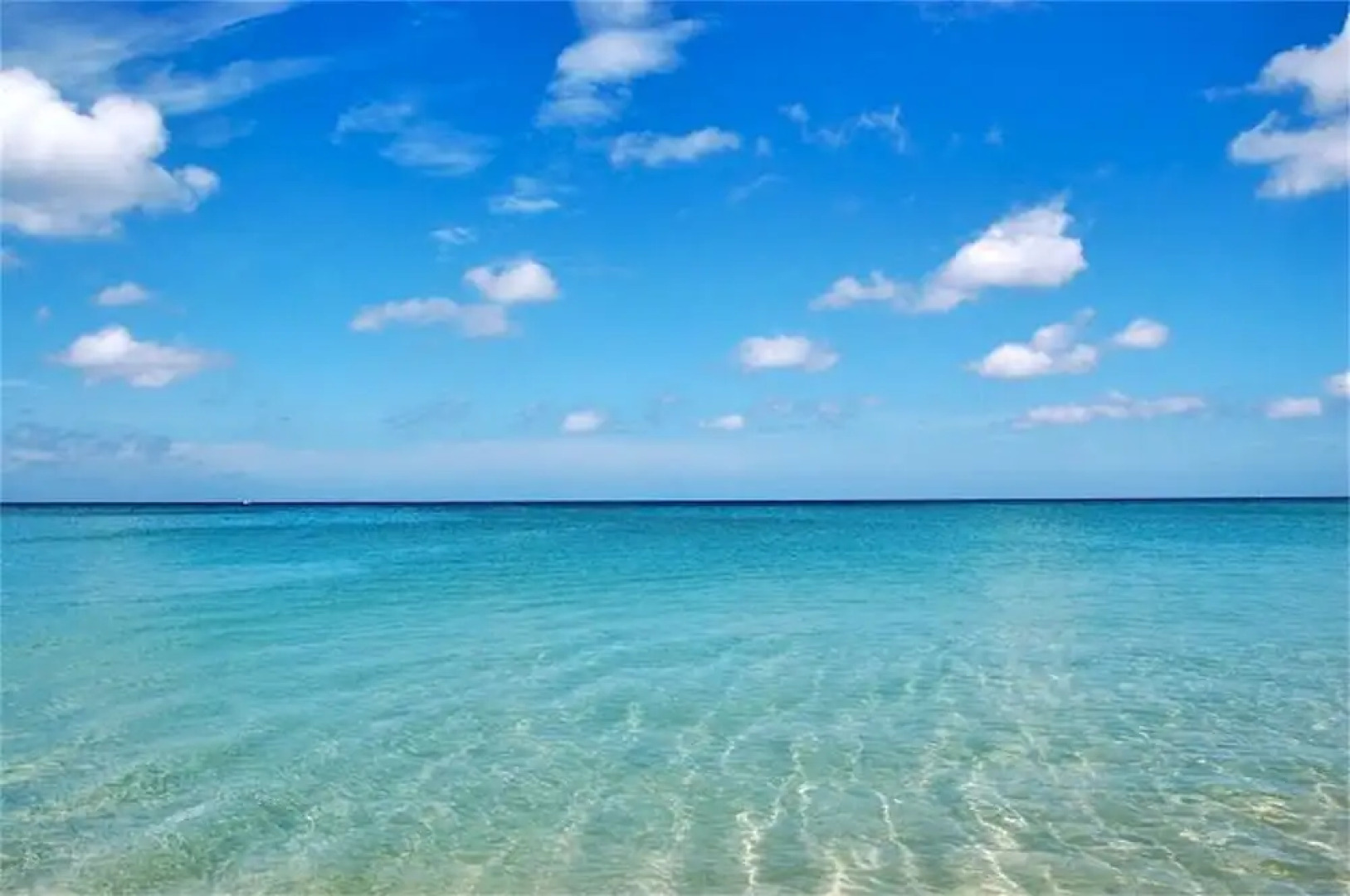 The Ark Karon 1 bedroom Apartment Pool Level