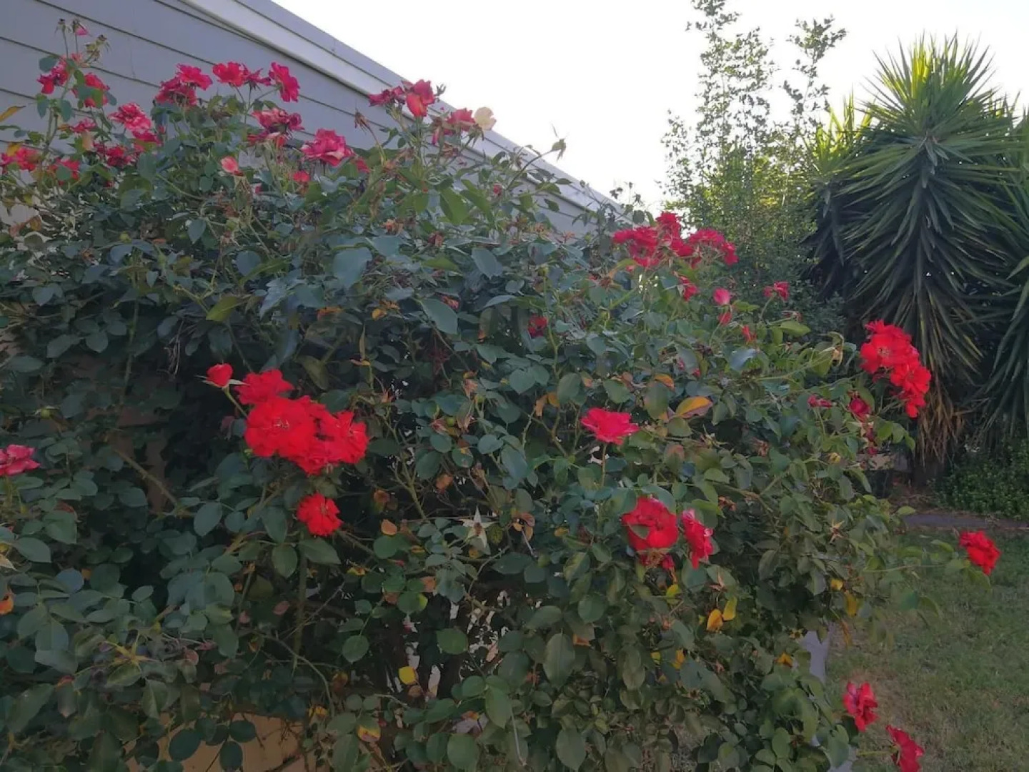 6-Bedroom House Singleton Hunter Valley