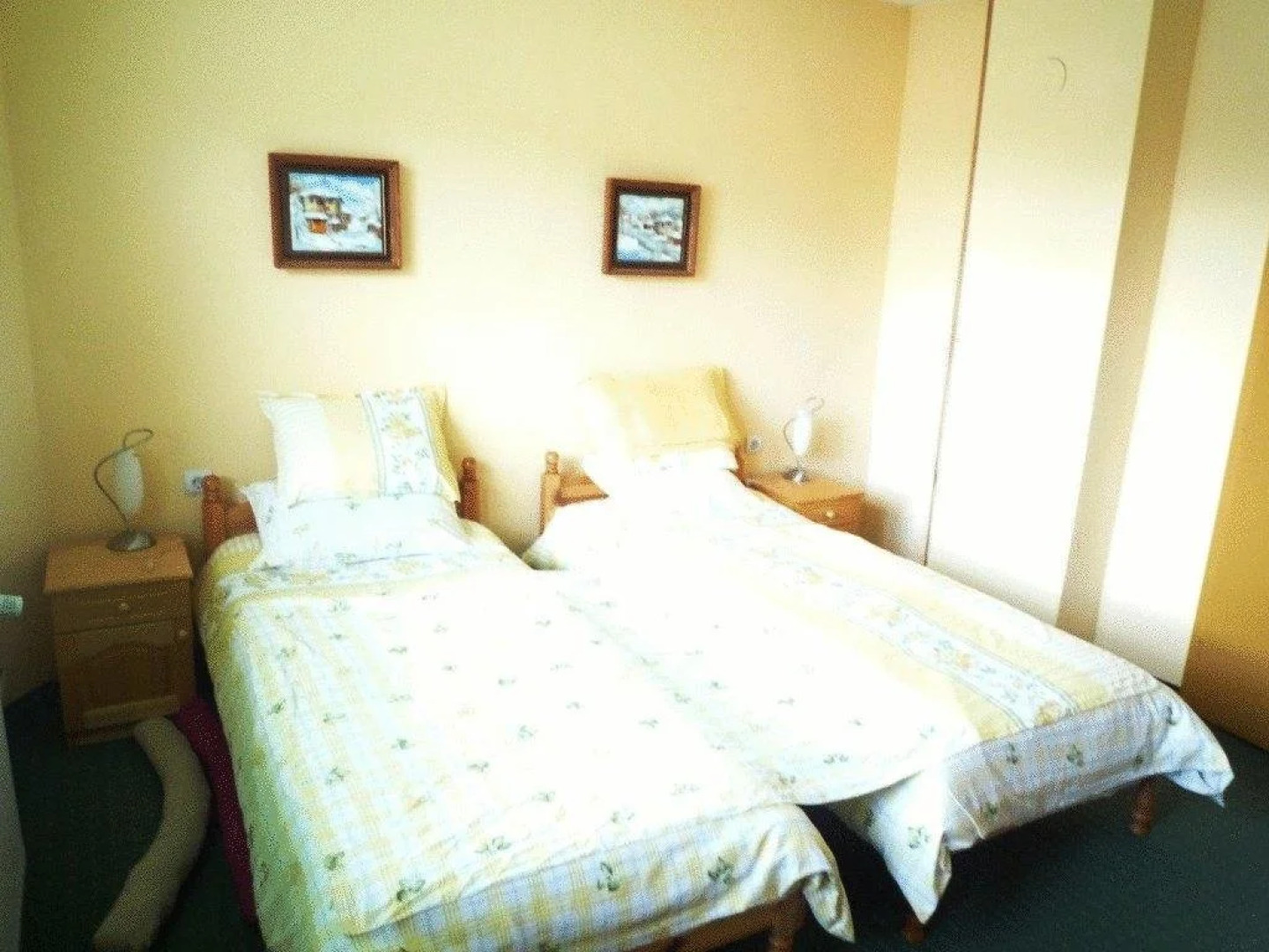 All Seasons Mountain Vistas