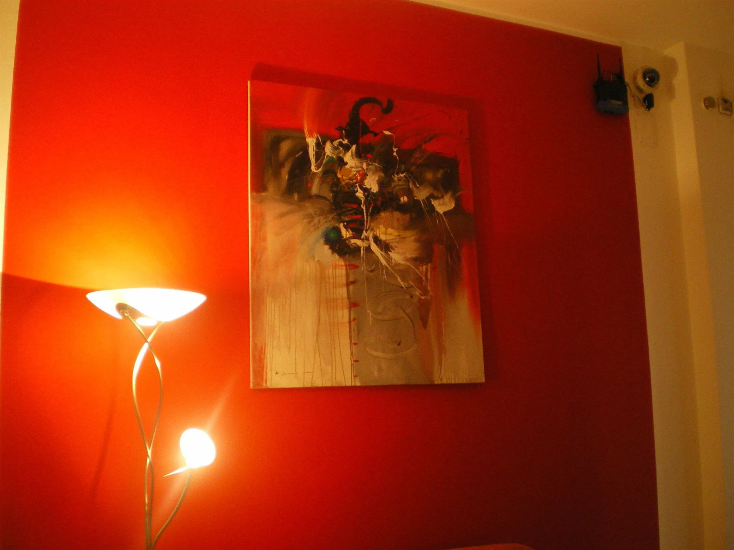 Actinia Accomodation