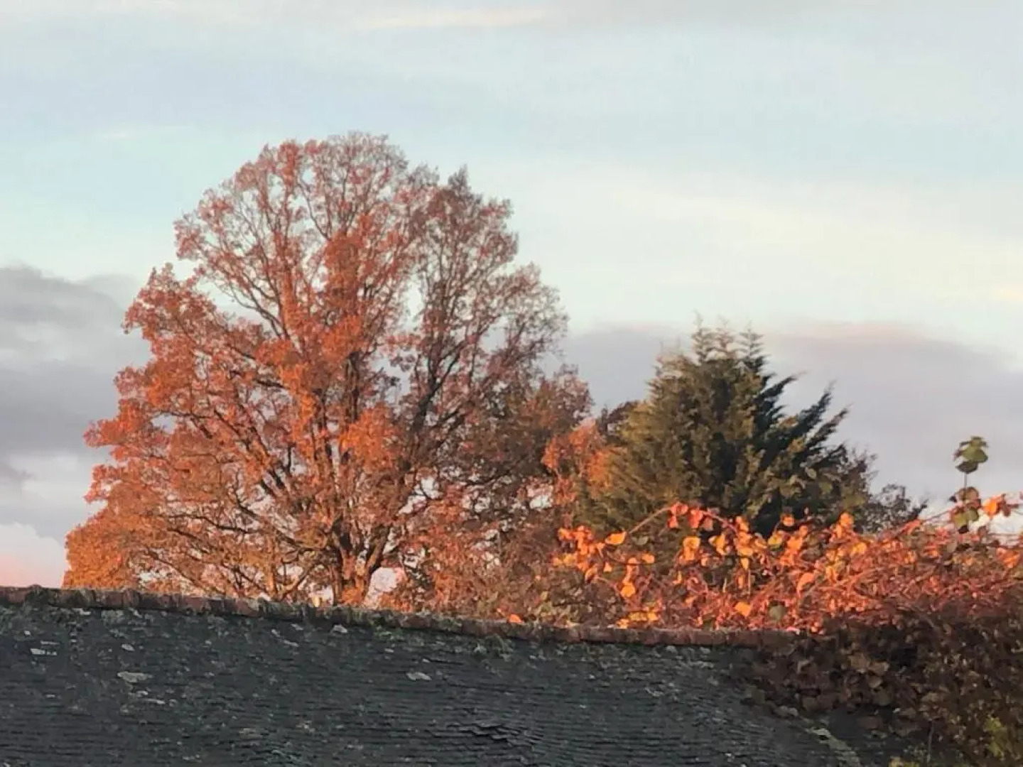 La Verrerie de Guerlédan