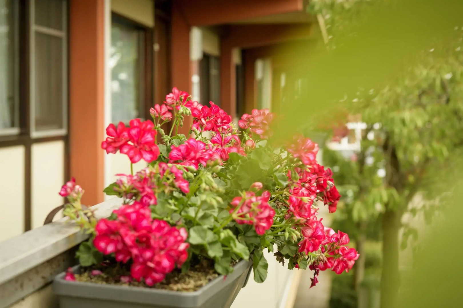 Campanile Hotel Vlaardingen