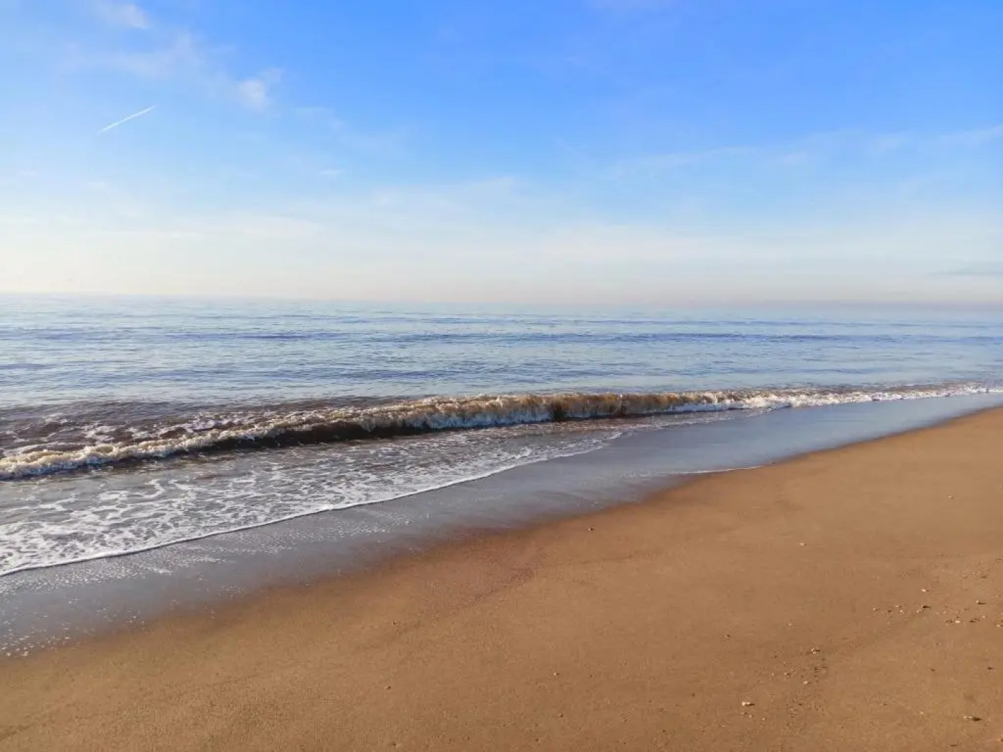 Brackenhurst Guest House