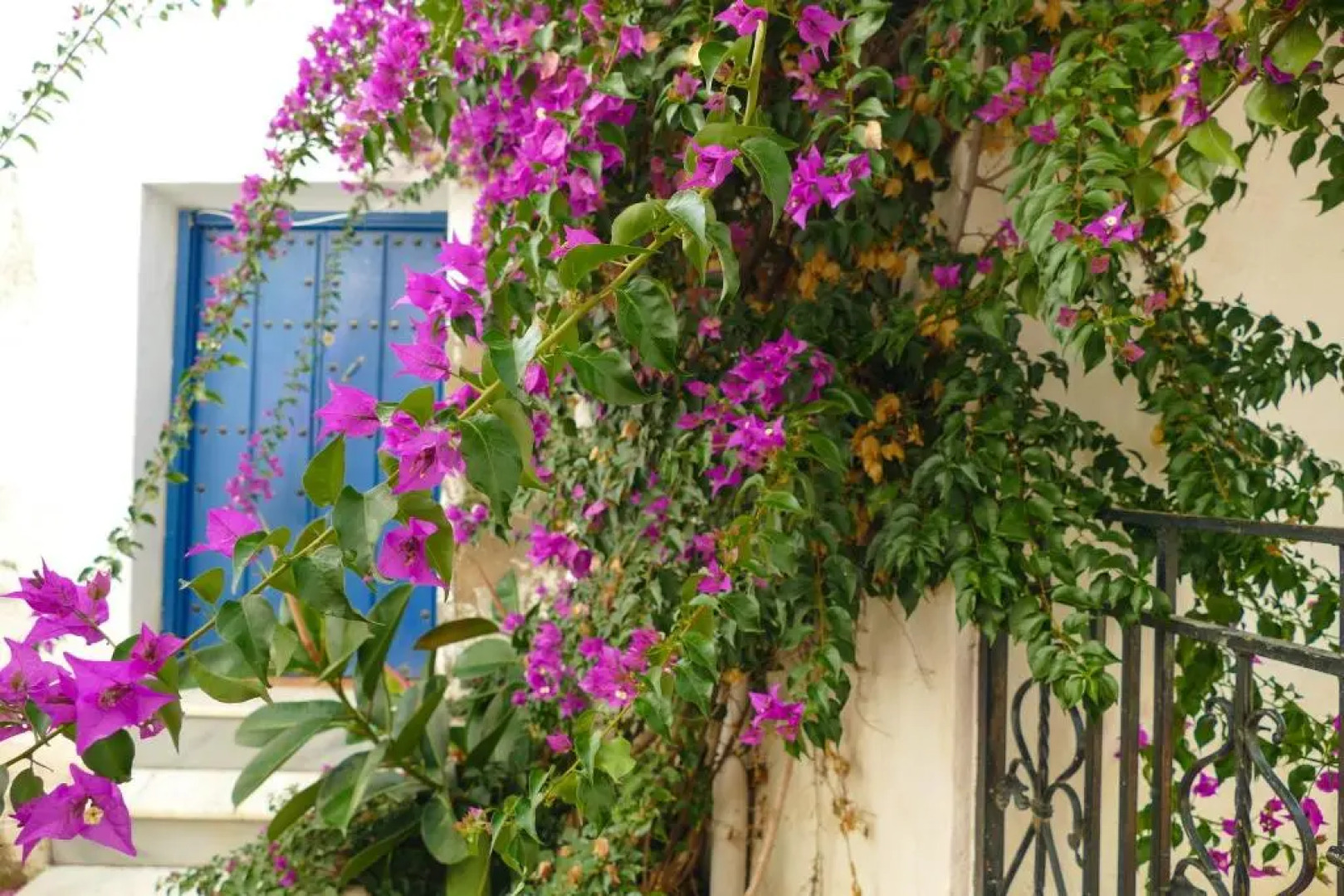 La Casa de la Bombilla Verde