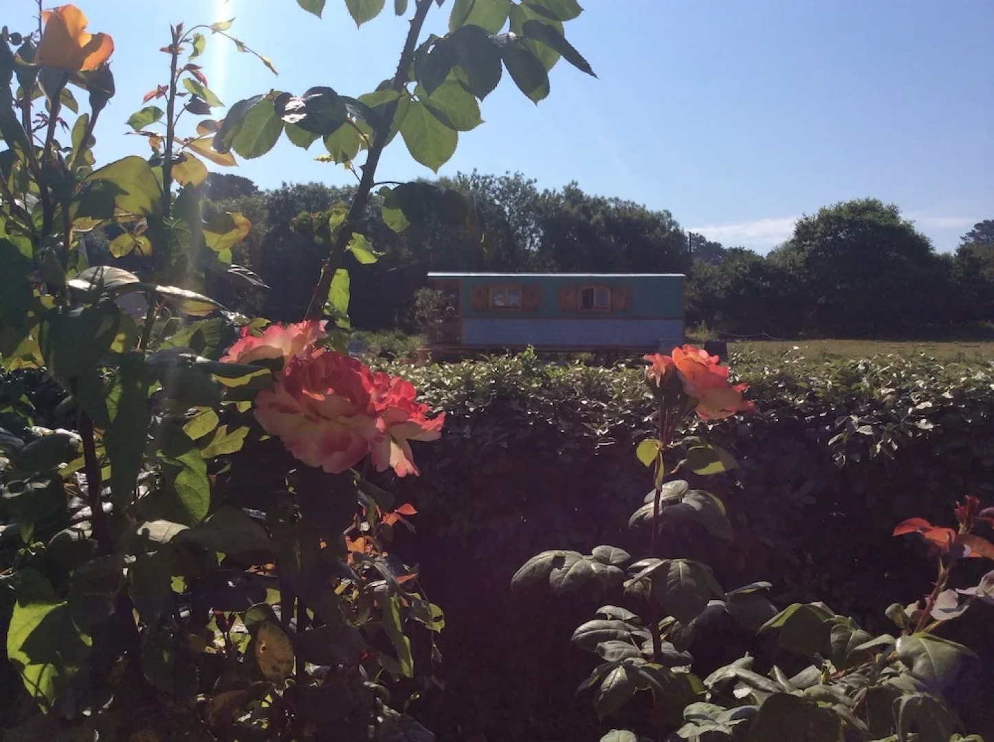 Roulotte de la Scea Ecurie Barre