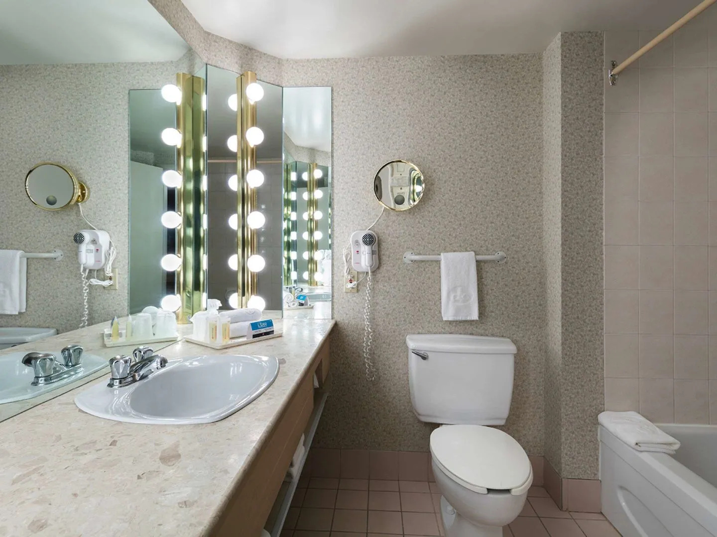 Hôtels Gouverneur Montréal - Île Charron