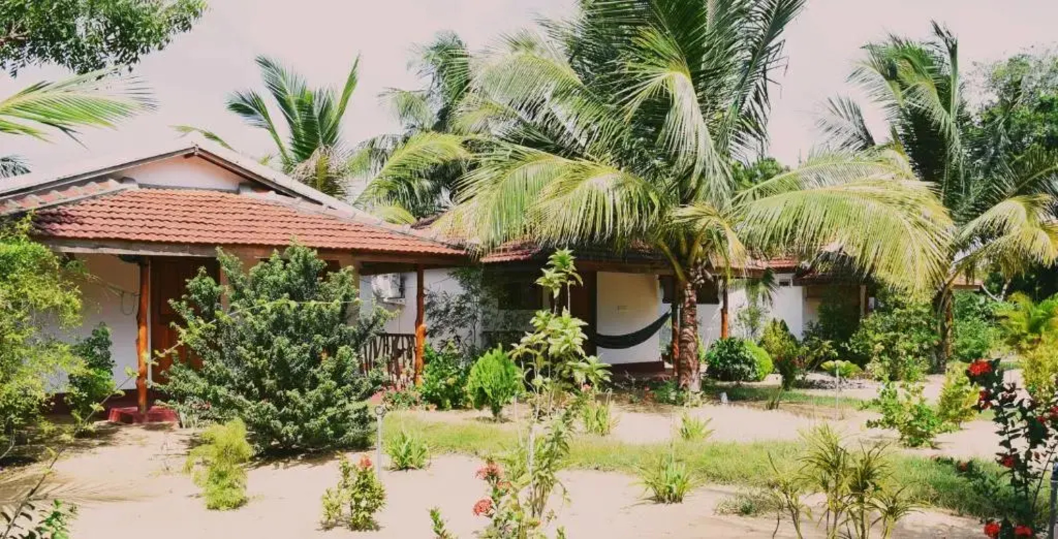 Prime Surfers Bungalow