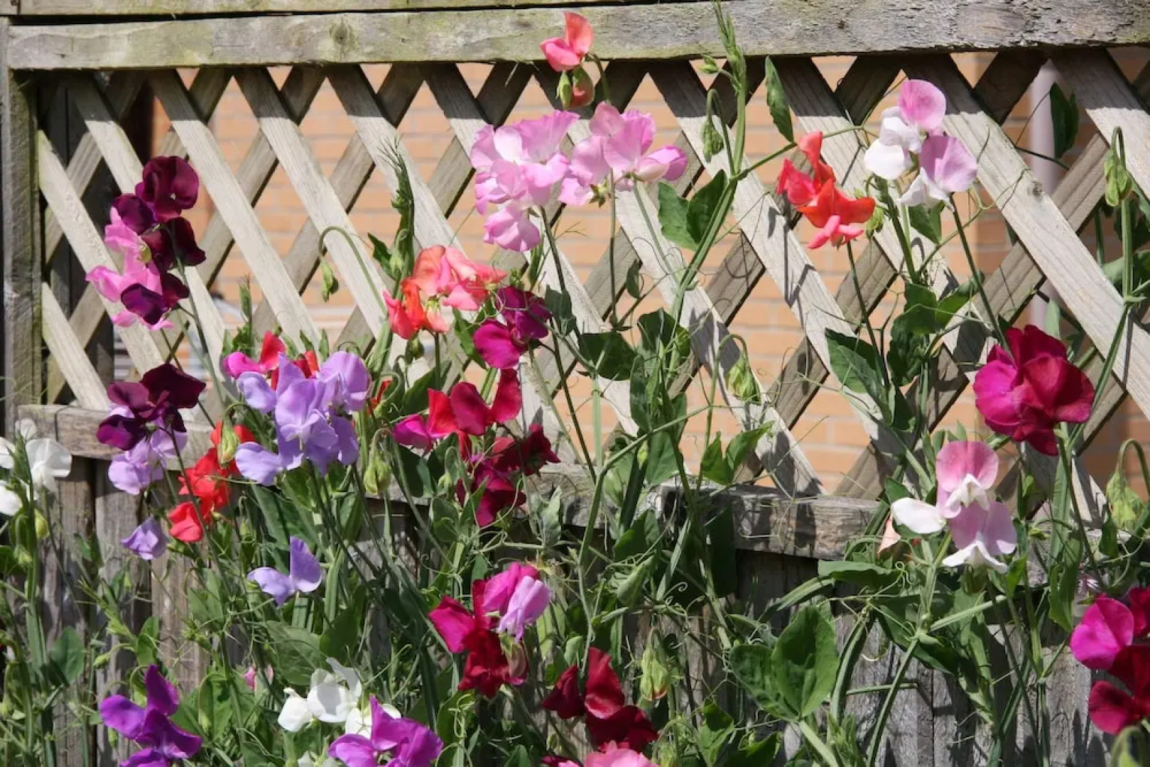 The Mendip Gate Guest House