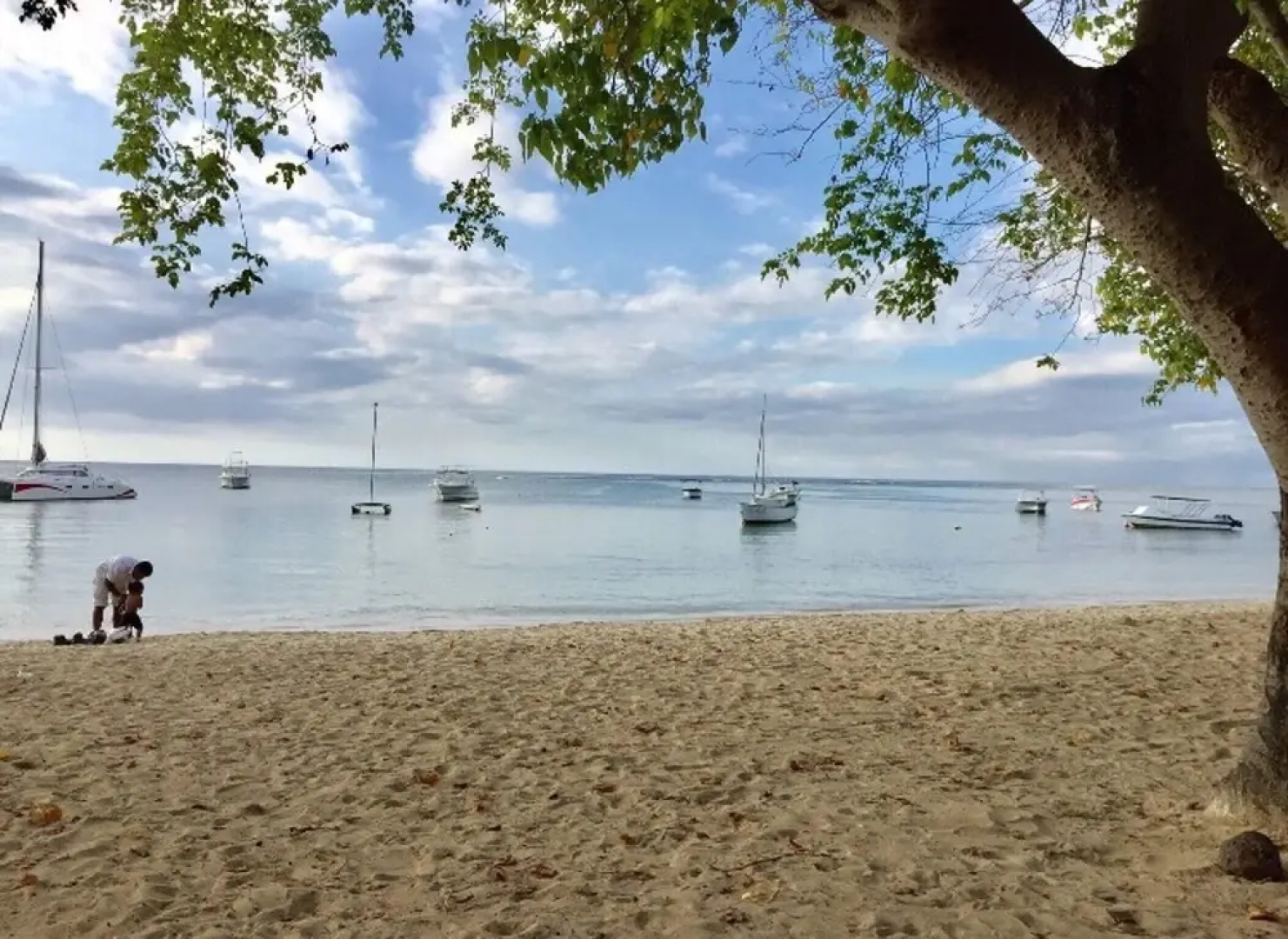 House With 2 Bedrooms in Albion, With Shared Pool, Enclosed Garden and Wifi Near the Beach