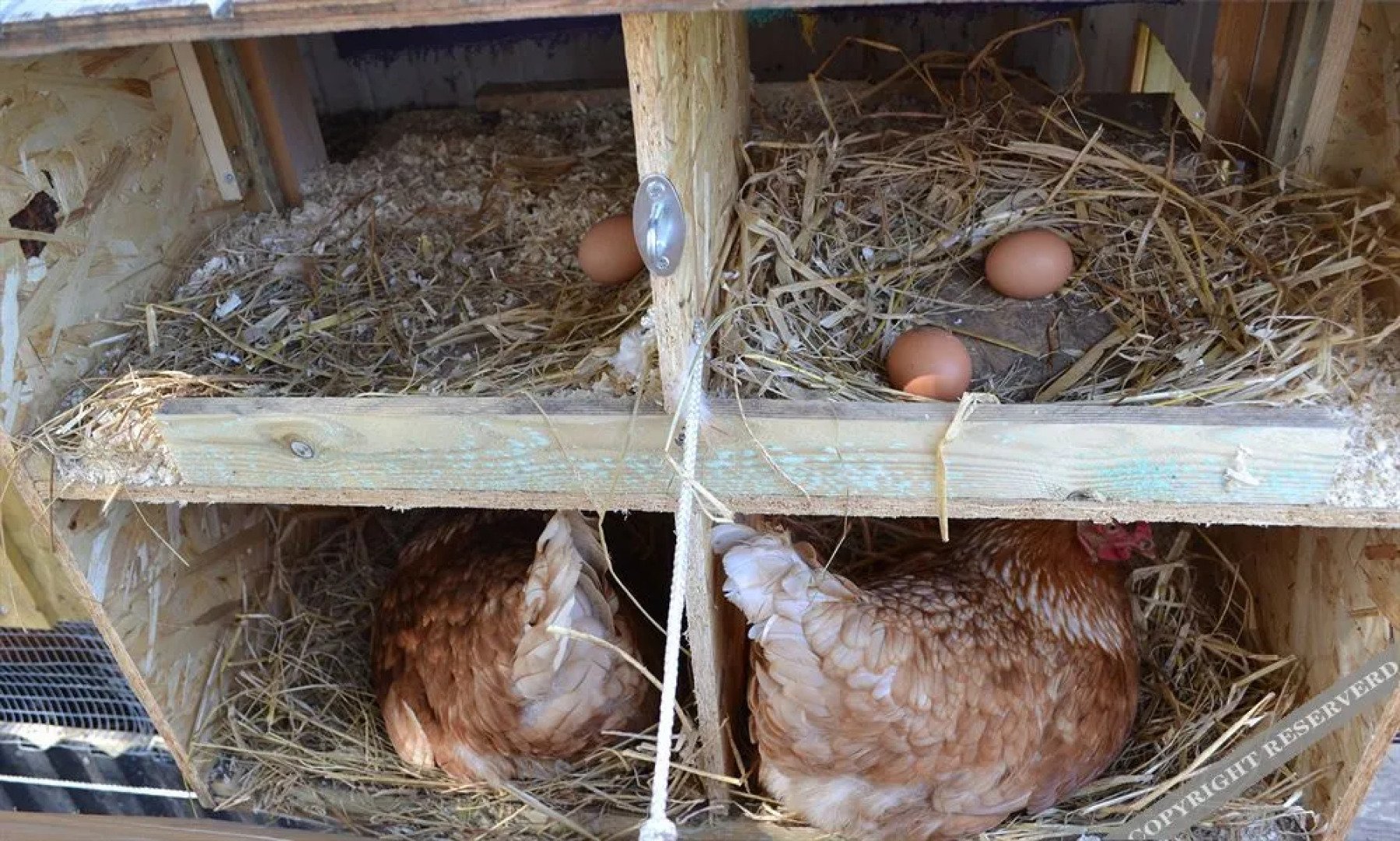 Bed and Breakfast Tistrup