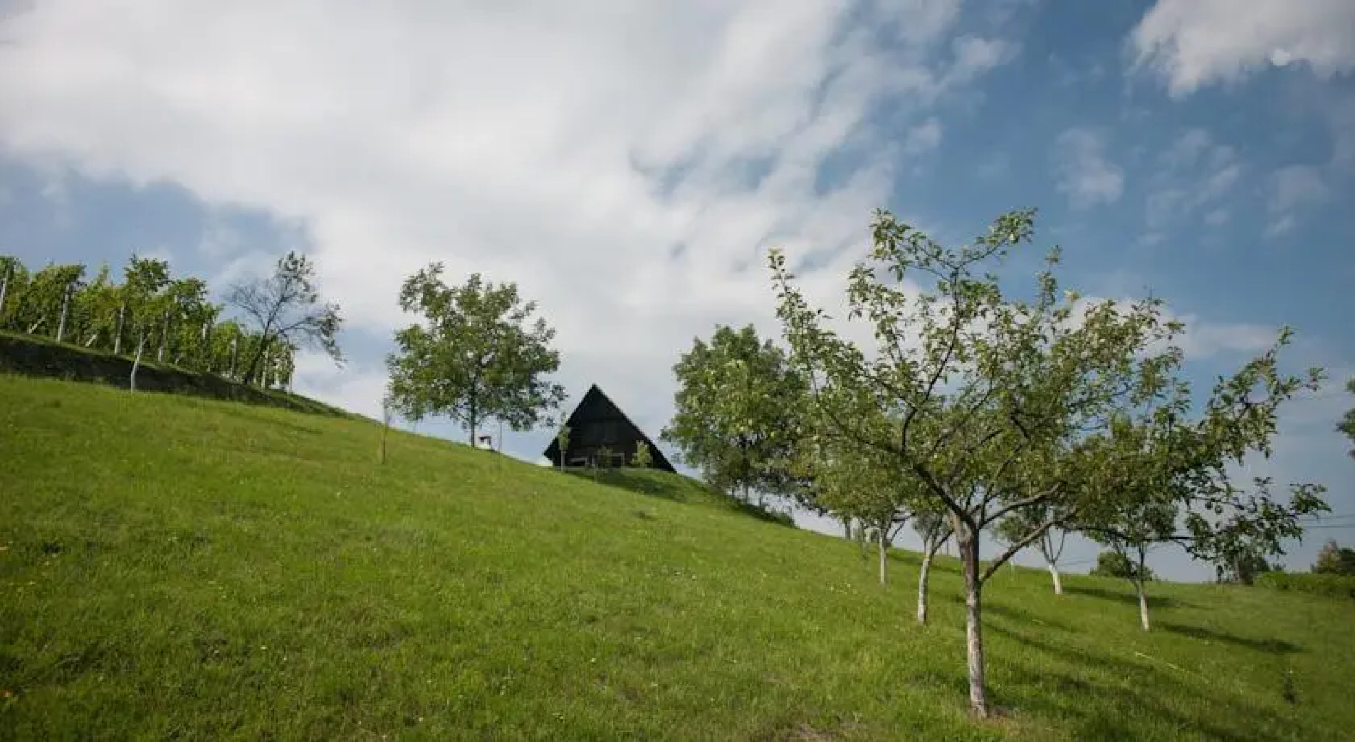 Holiday Home Kuchica