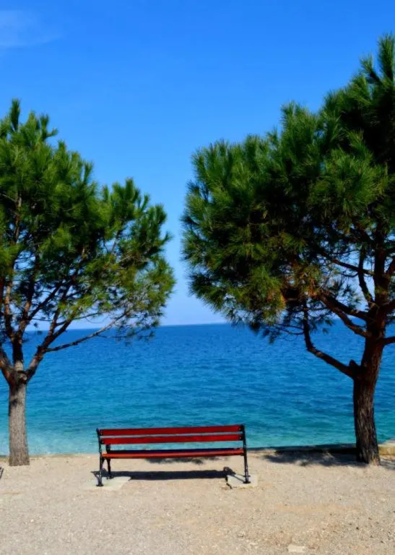 Apartment Yellow Porat