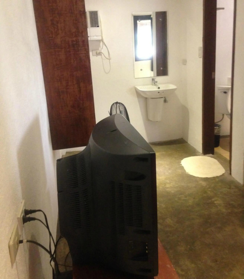 The Lazy Dog Bed & Breakfast