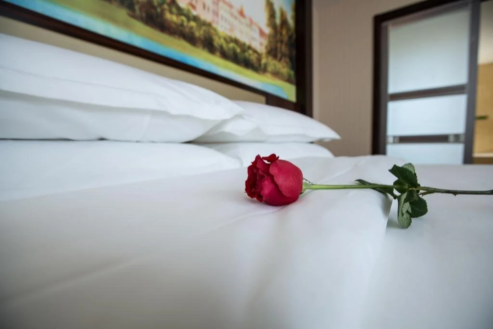 Vienna International Hotel Zhumadian Huayuan Branch