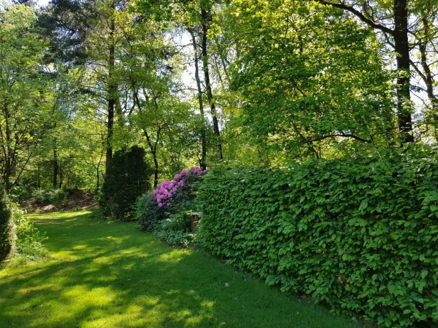 Knusse 5 Persoons Bungalow Hartje Veluwe