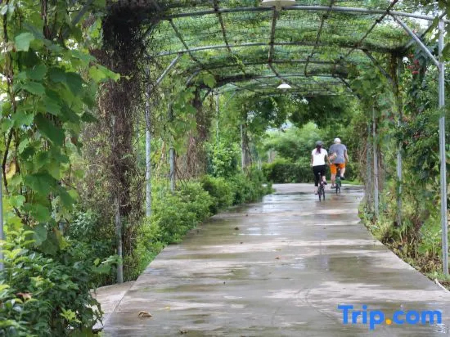 Yeyuan Hotspring Holiday Hotel