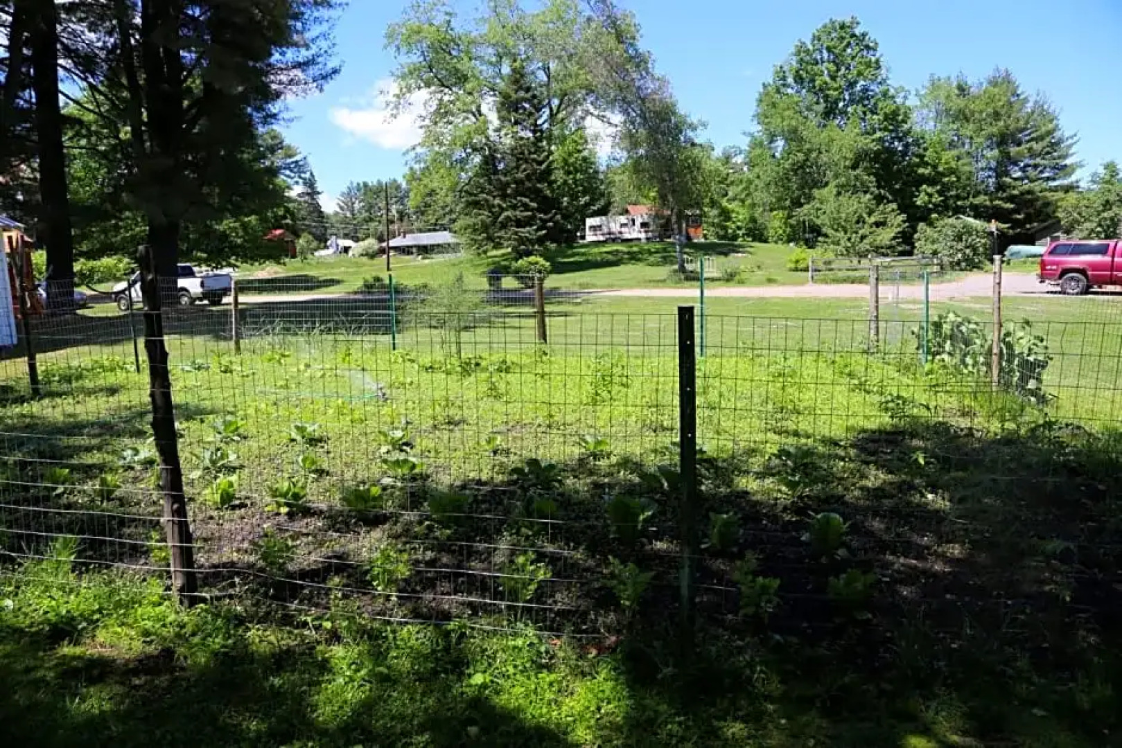 Rowe's Adirondack Cabins of Schroon Lake
