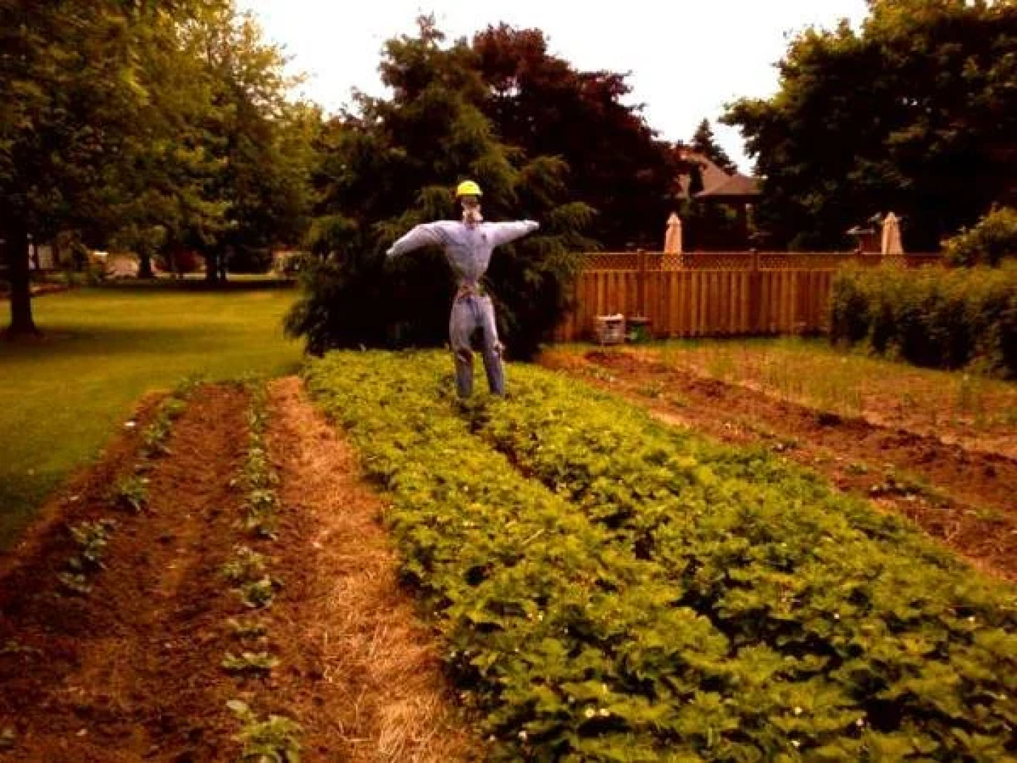 A Lil' Bit of Eden Bed and Breakfast