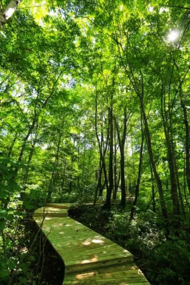 The Westin Changbaishan Resort