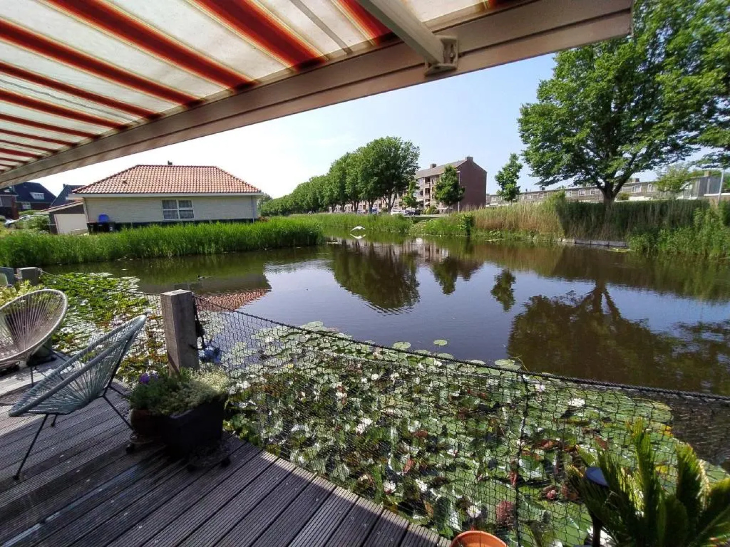 Dutch African Breeze