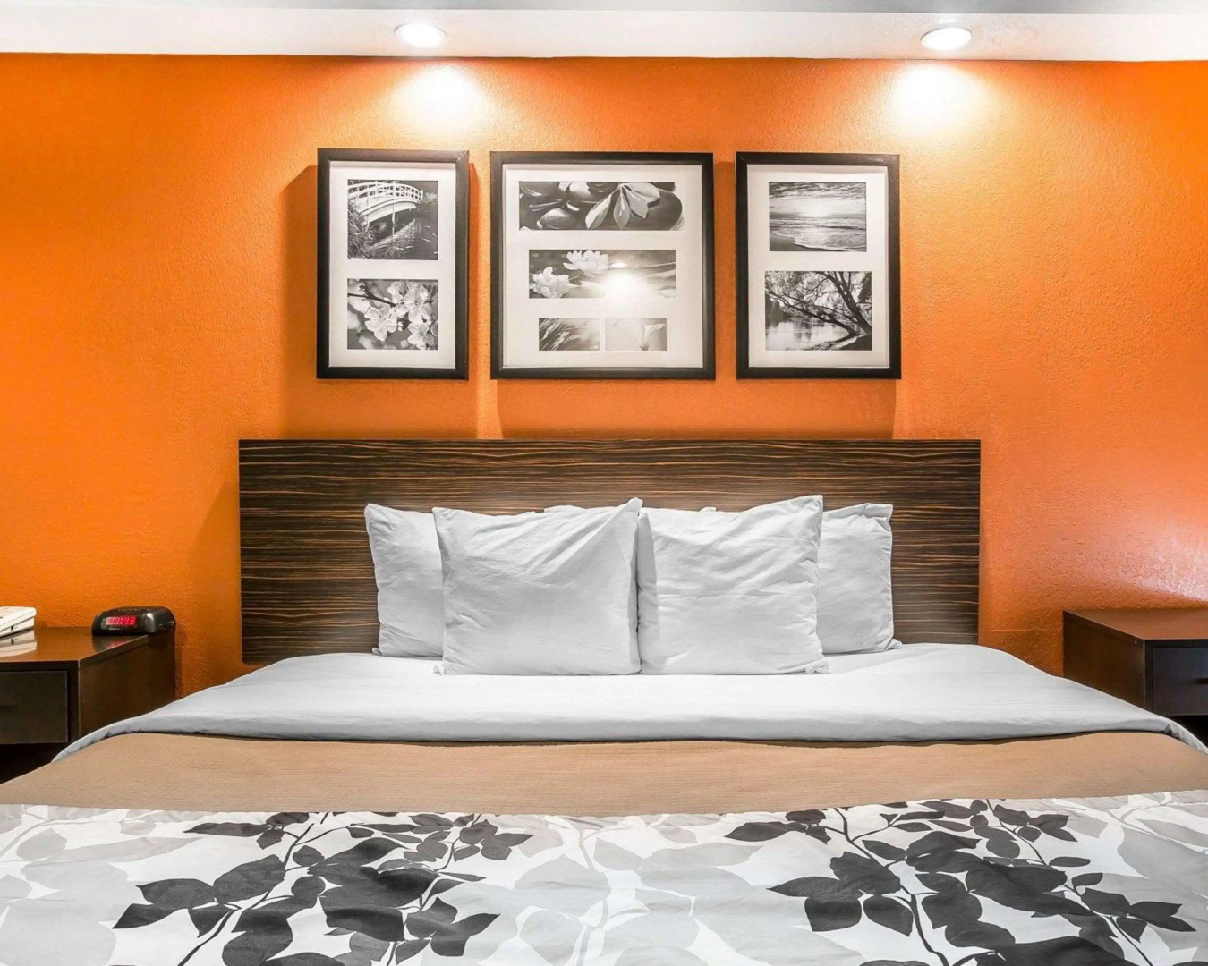 Sleep Inn Bessemer Helena