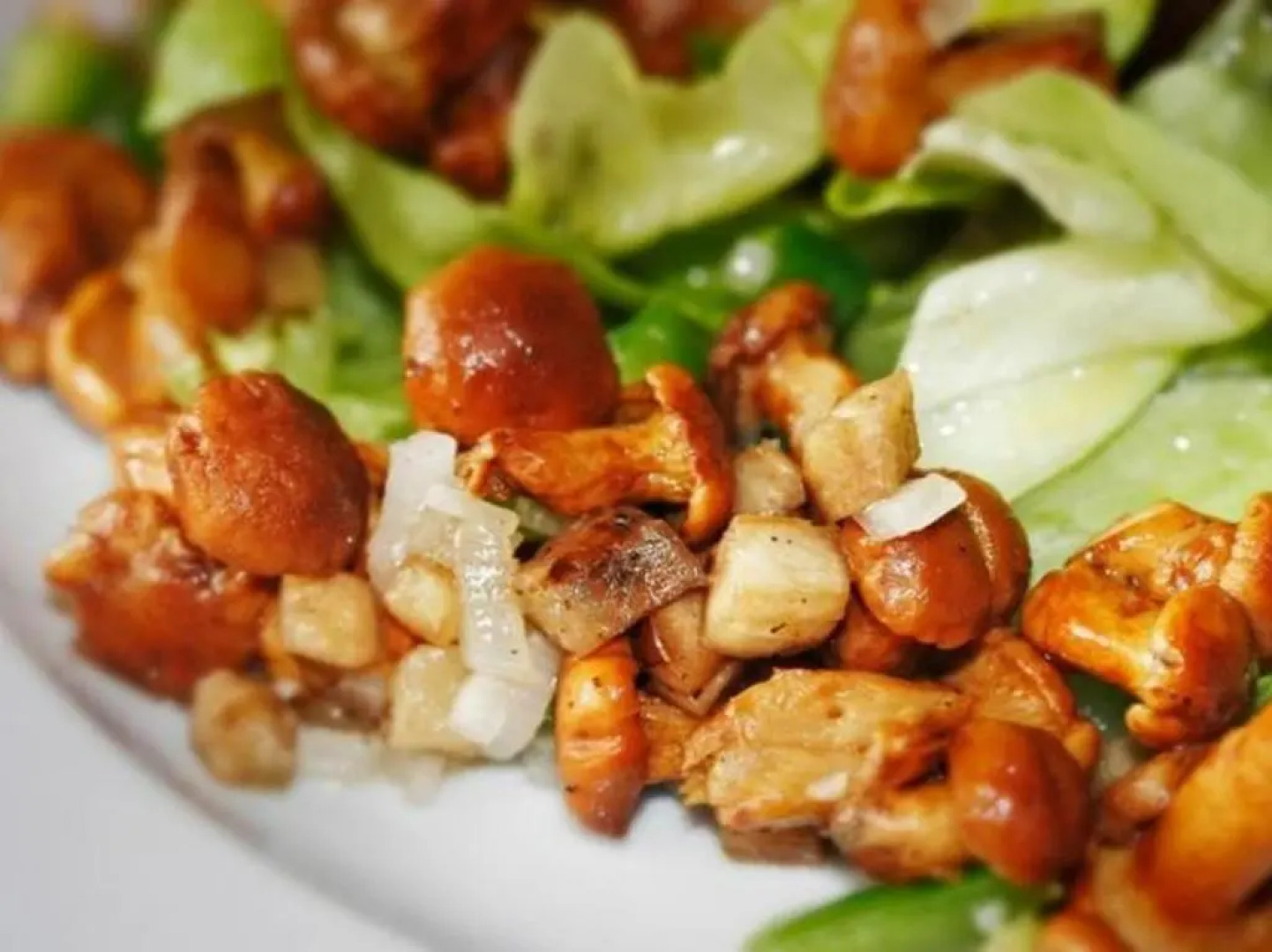 Hotel Gasthaus Zur Krone