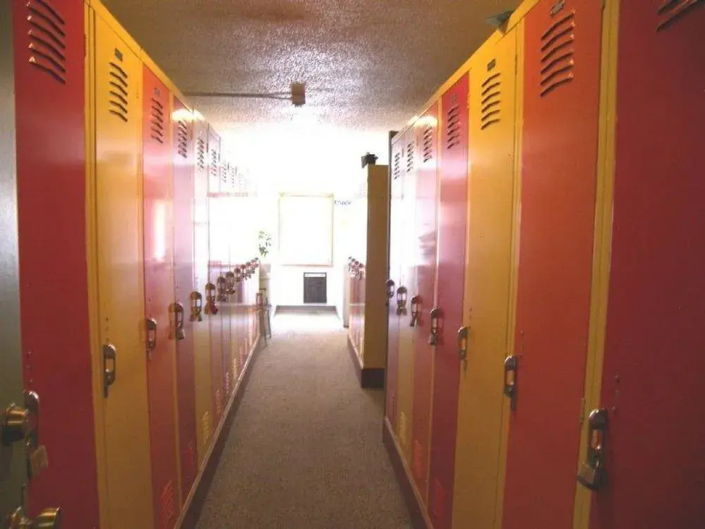 Anaconda 4 Bed 4 Bath by RedAwning