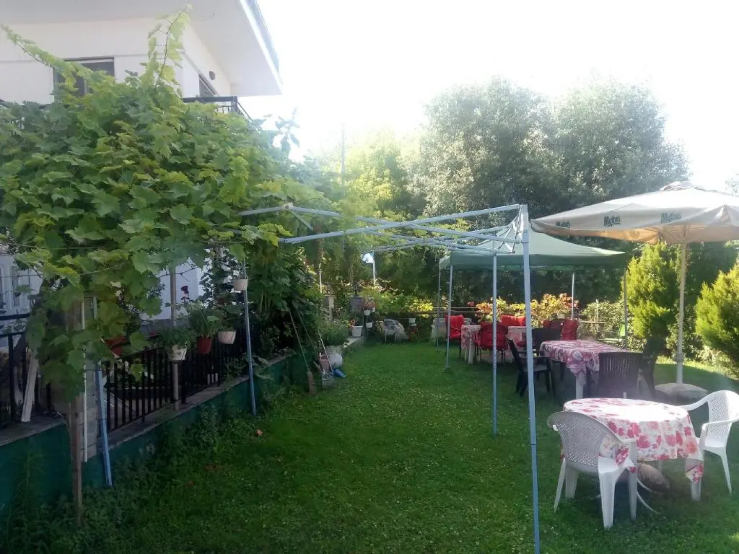 Pension Olympus