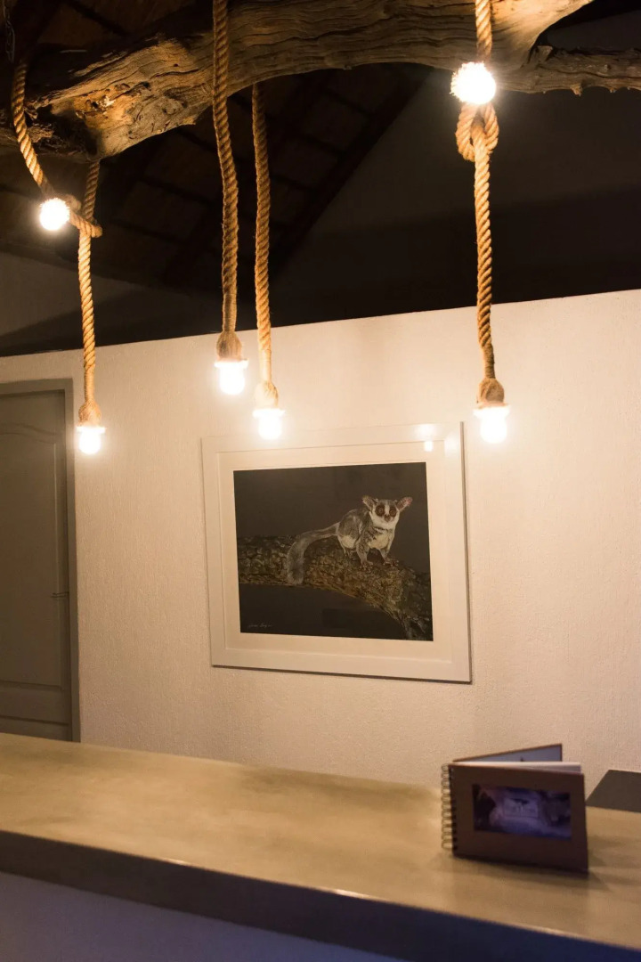 Bushbaby River Lodge