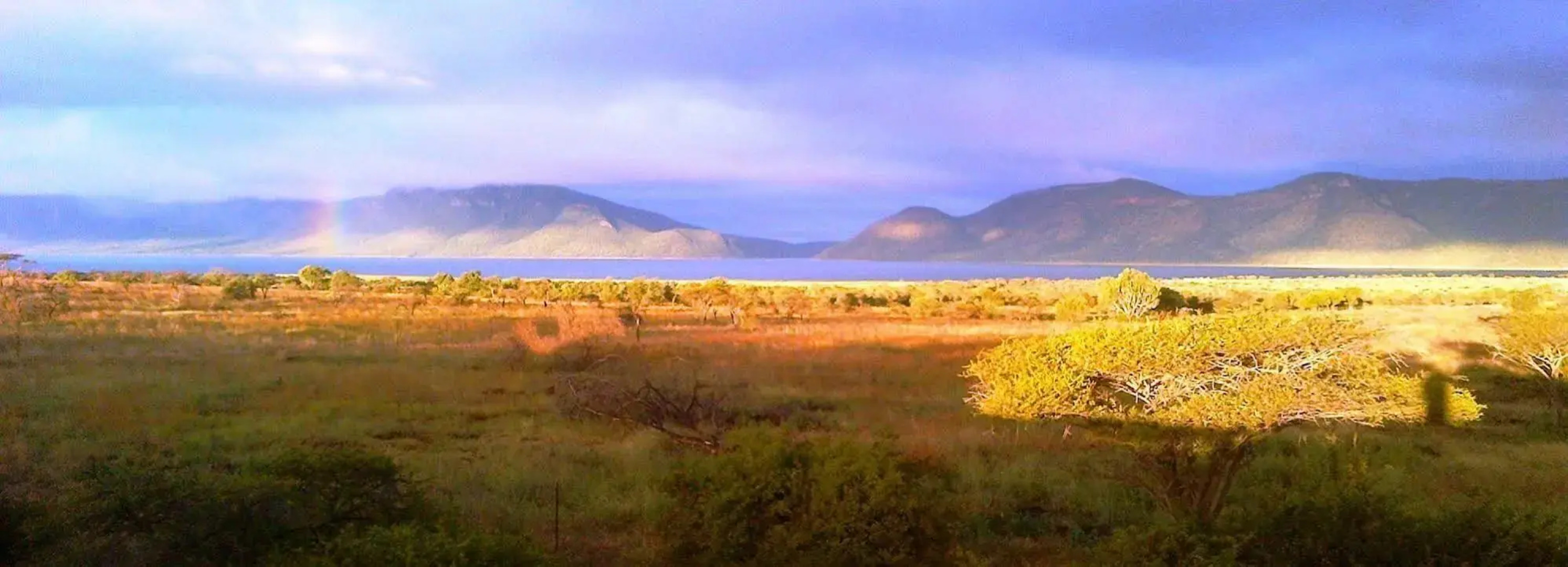 Africamps at White Elephant Safaris